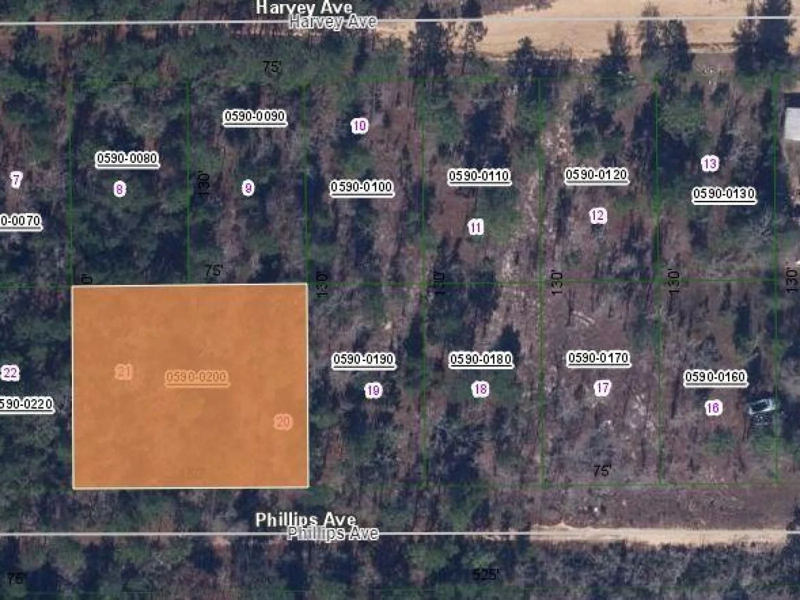 00 PHILLIPS AVE, INTERLACHEN, FL — photo 1