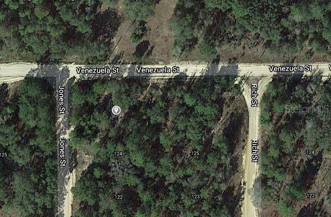 00 JONES ST, INTERLACHEN, FL — photo 3
