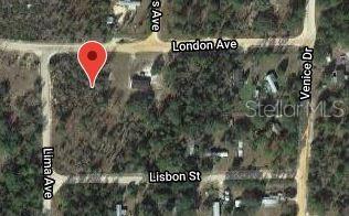 115 LONDON AVE, INTERLACHEN, FL — photo 3