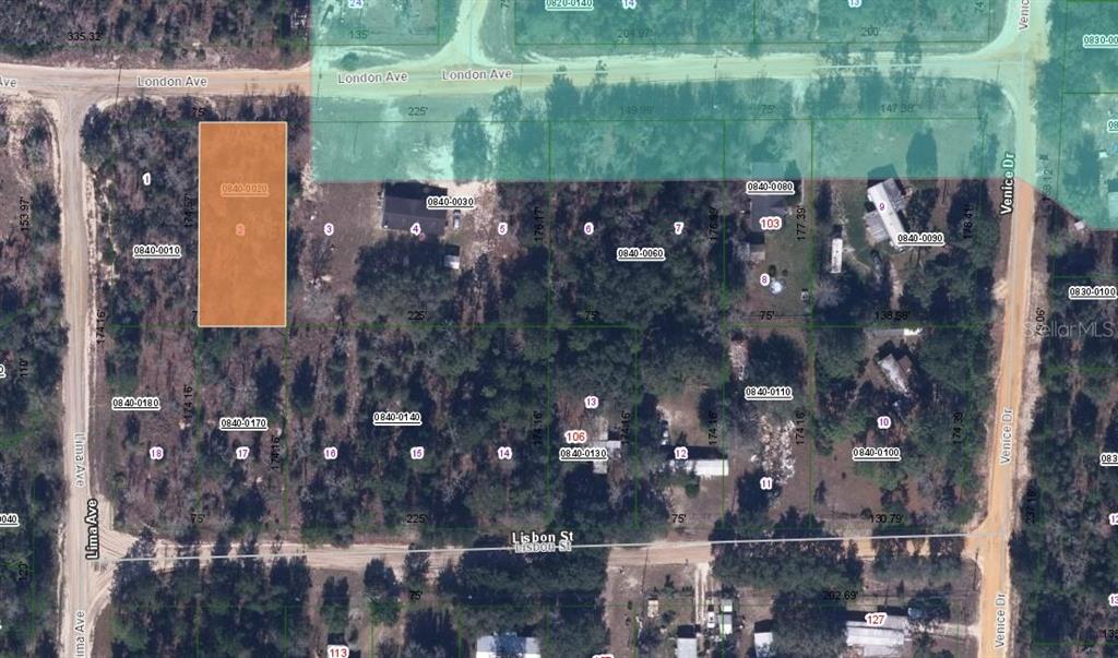 115 LONDON AVE, INTERLACHEN, FL — photo 5