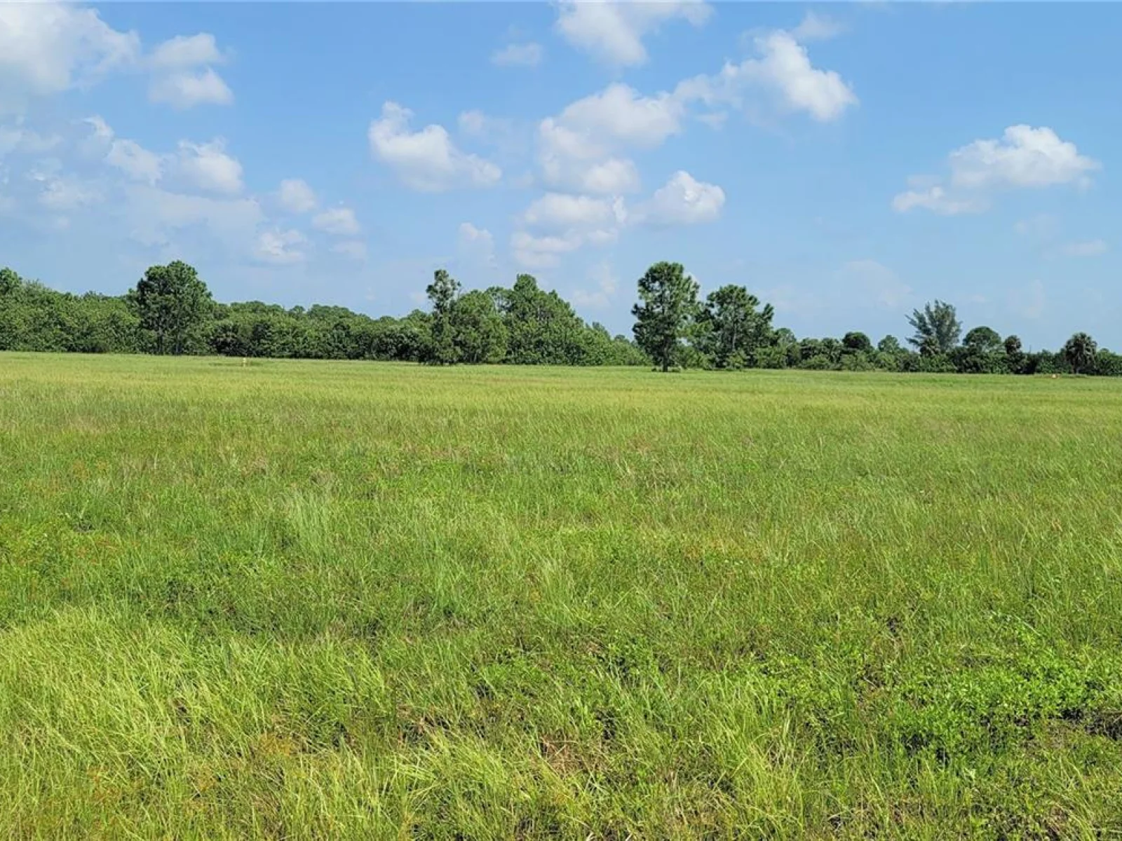 12098 & 12106 SALITPA CT, PLACIDA, FL — photo 10