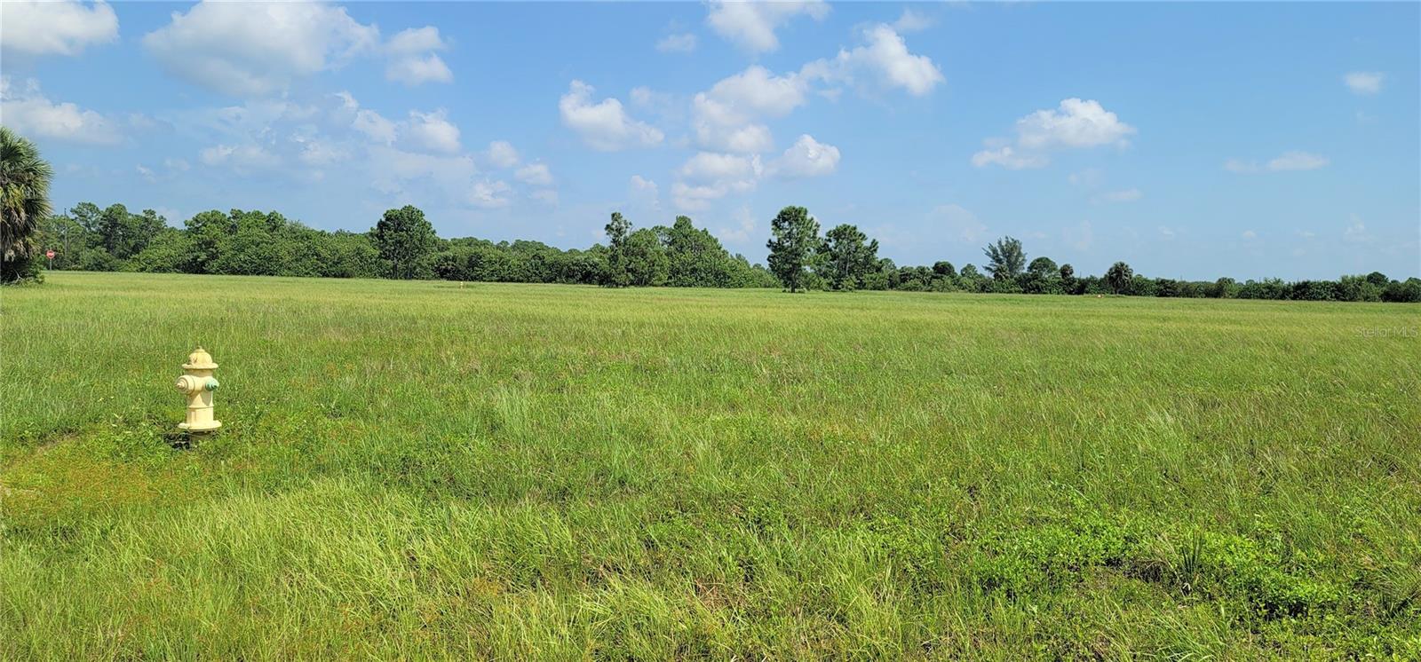 12098 & 12106 SALITPA CT, PLACIDA, FL — photo 9