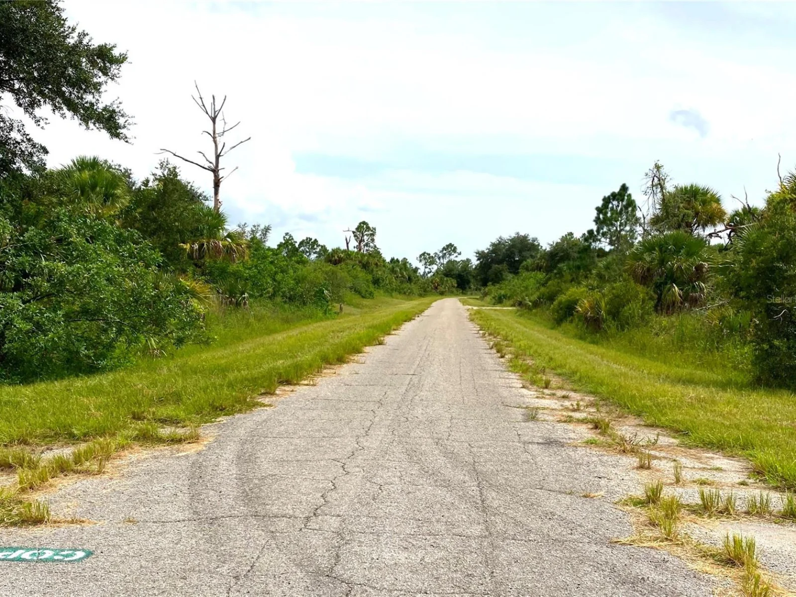 FIVELEAF RD, NORTH PORT, FL — photo 1