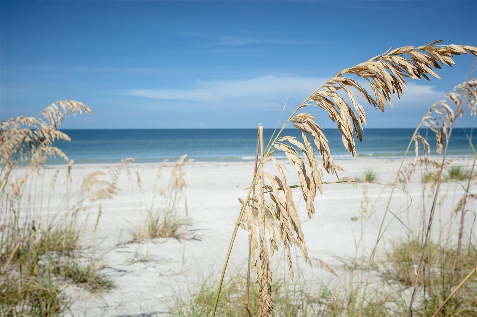 3000 PASS A GRILLE WAY, ST PETE BEACH, FL — photo 14
