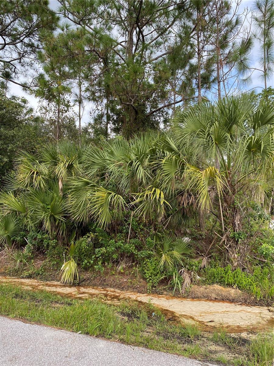 LACOCO ST, NORTH PORT, FL — photo 4