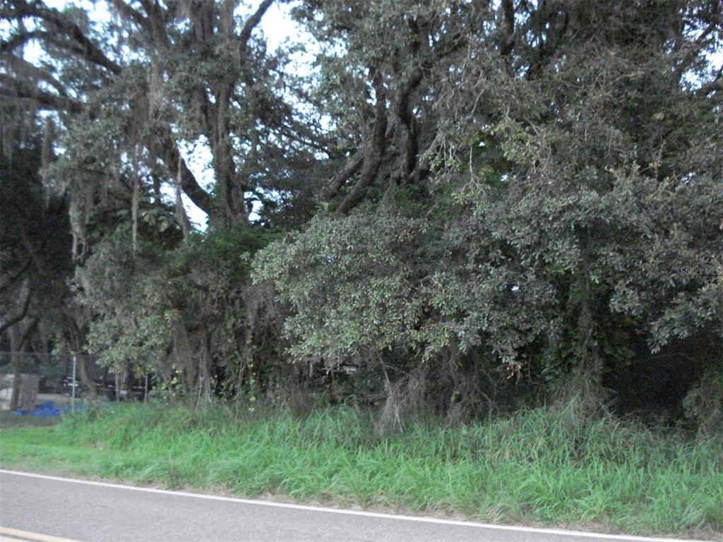AVON PARK CUTOFF EAST RD, FROSTPROOF, FL — photo 2