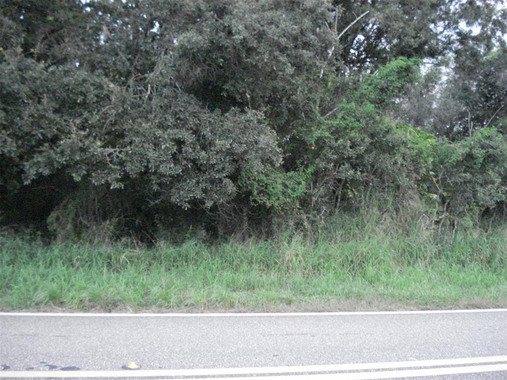 AVON PARK CUTOFF EAST RD, FROSTPROOF, FL — photo 3