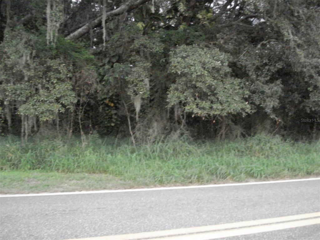 AVON PARK CUTOFF EAST RD, FROSTPROOF, FL — photo 4