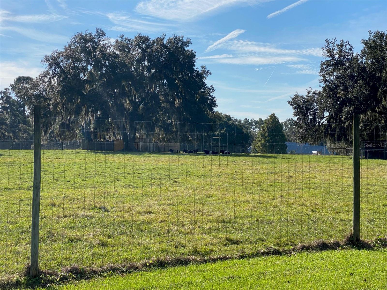 19350 NW 123RD CT, MICANOPY, FL — photo 69