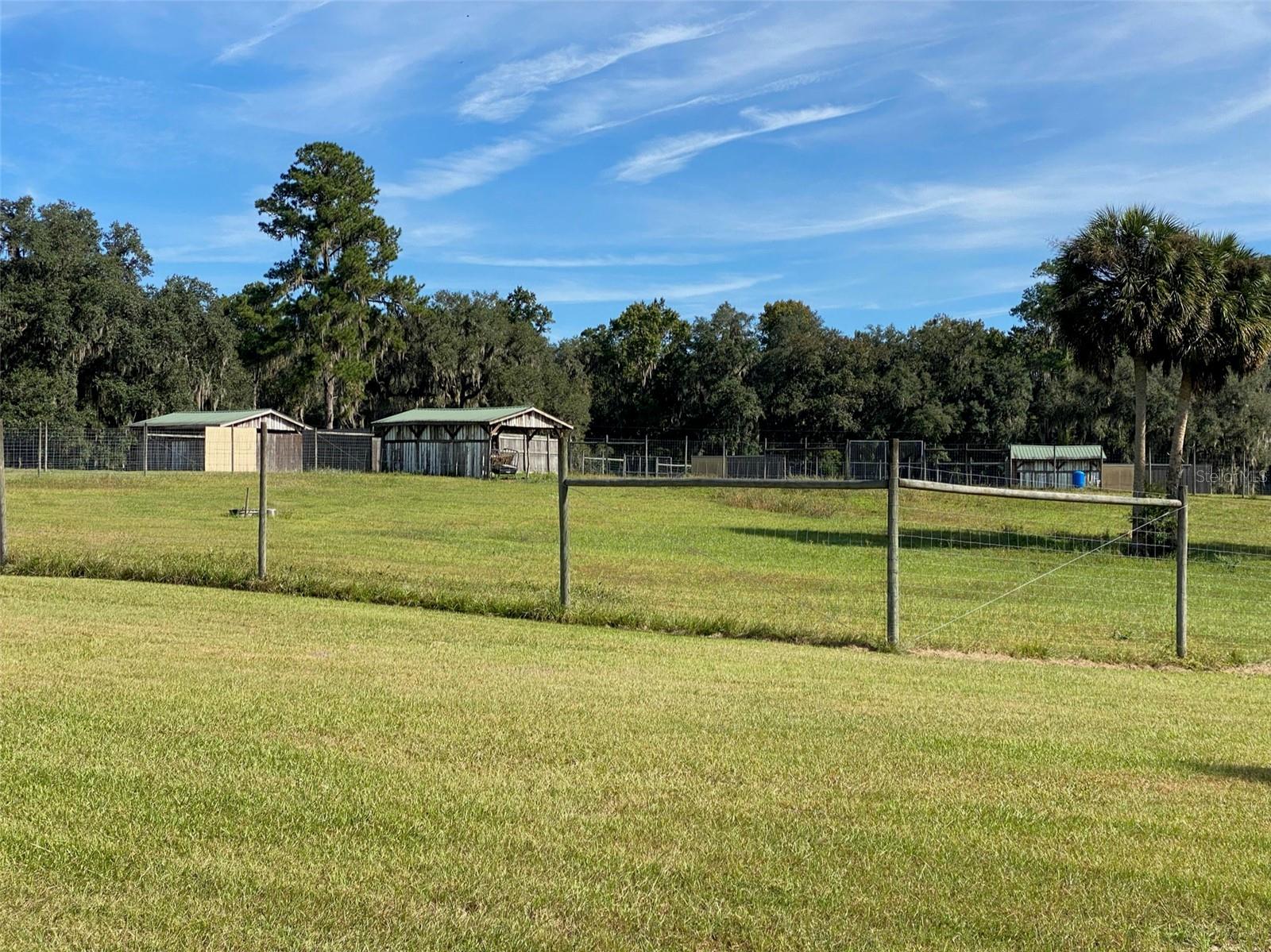 19350 NW 123RD CT, MICANOPY, FL — photo 72