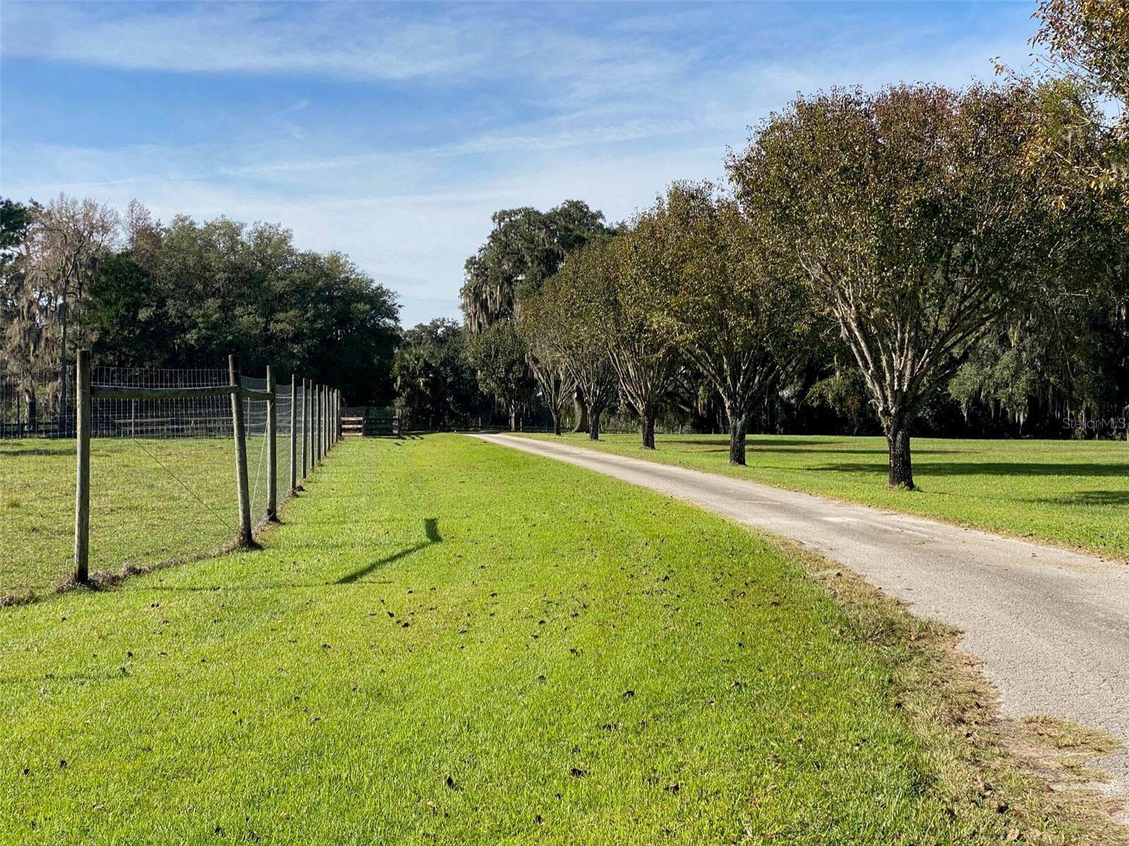 19350 NW 123RD CT, MICANOPY, FL — photo 73