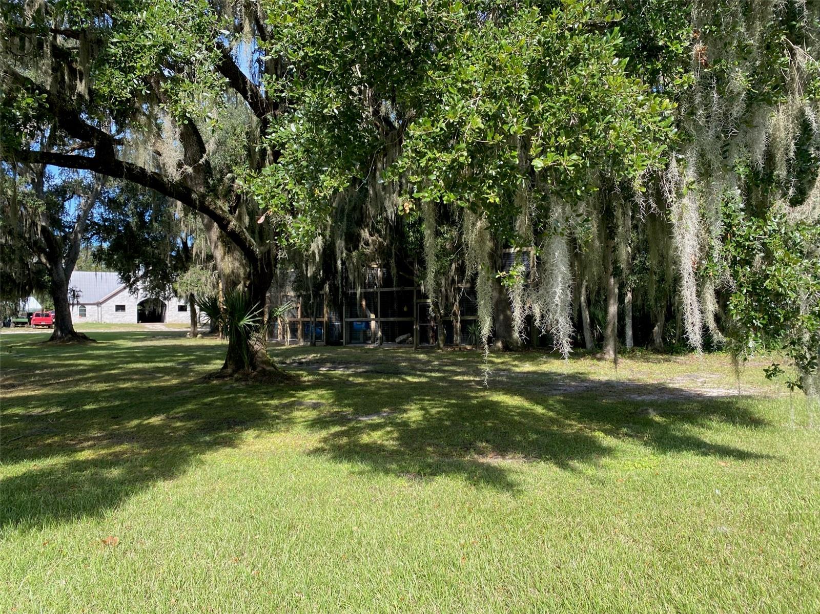 19350 NW 123RD CT, MICANOPY, FL — photo 76
