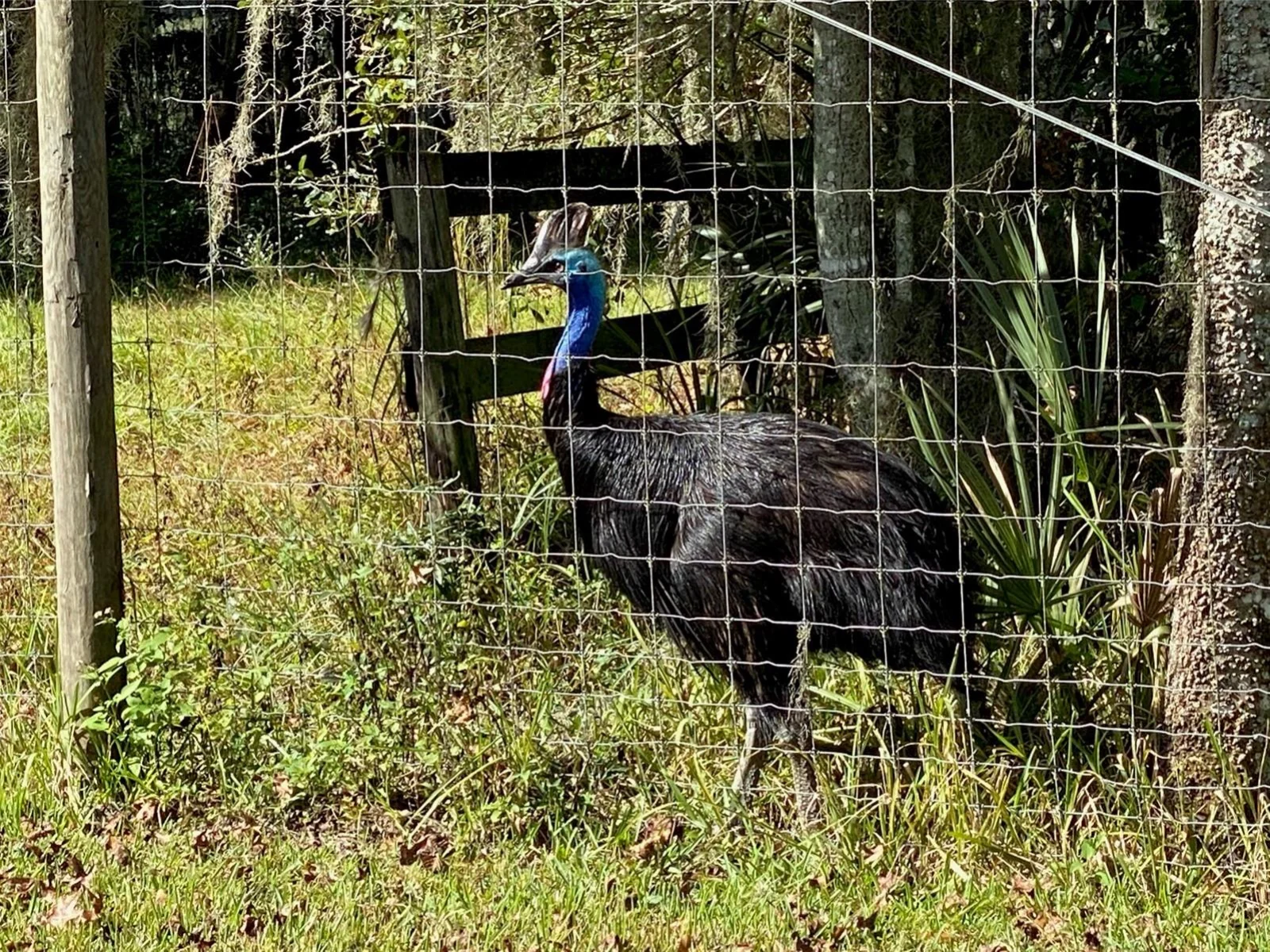 19350 NW 123RD CT, MICANOPY, FL — photo 81