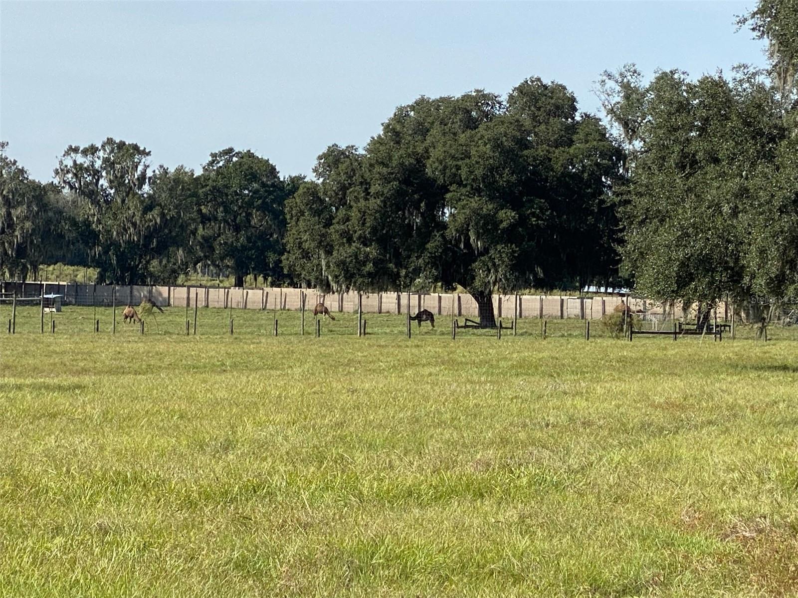 19350 NW 123RD CT, MICANOPY, FL — photo 88
