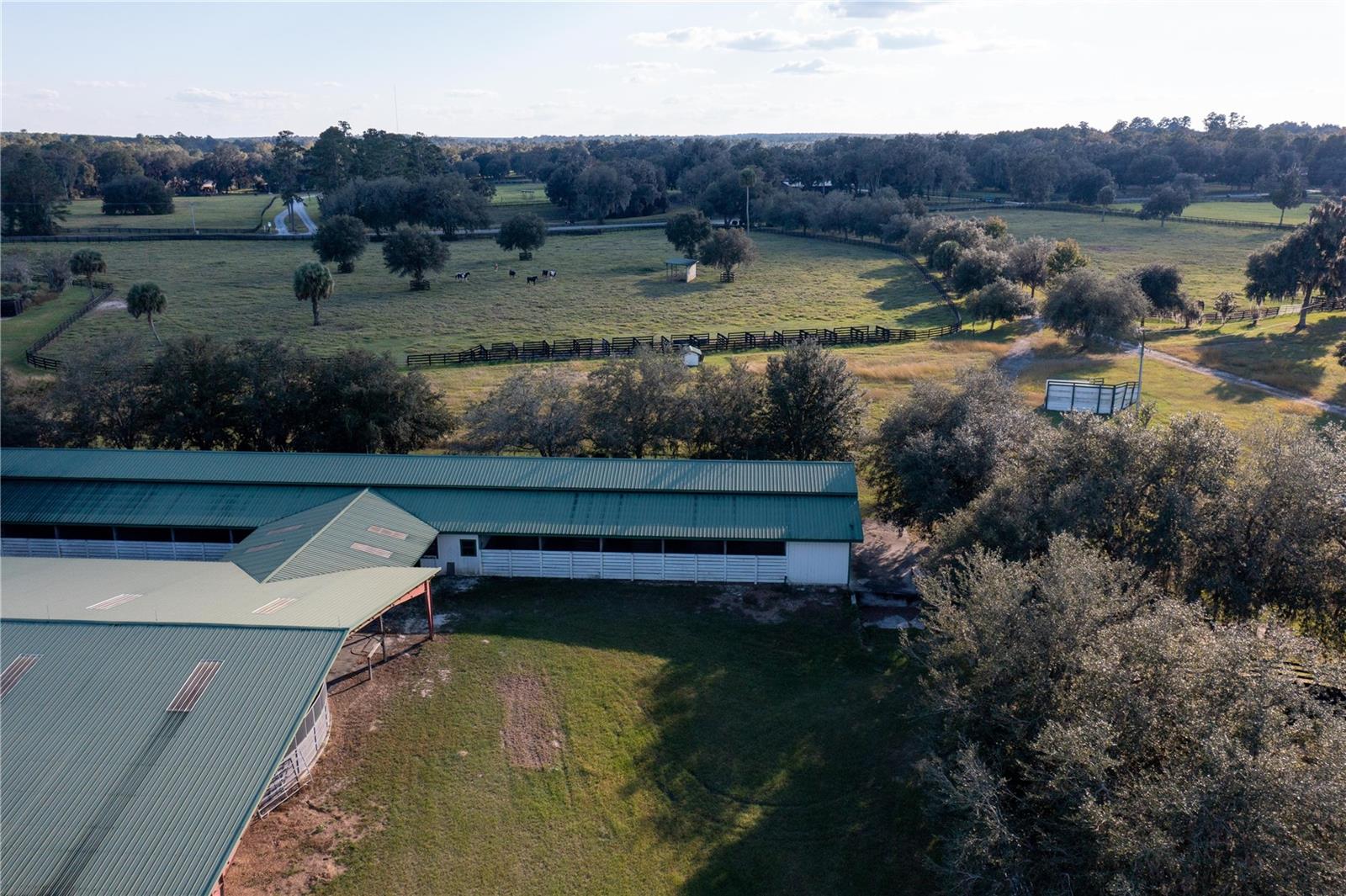19350 NW 123RD CT, MICANOPY, FL — photo 98