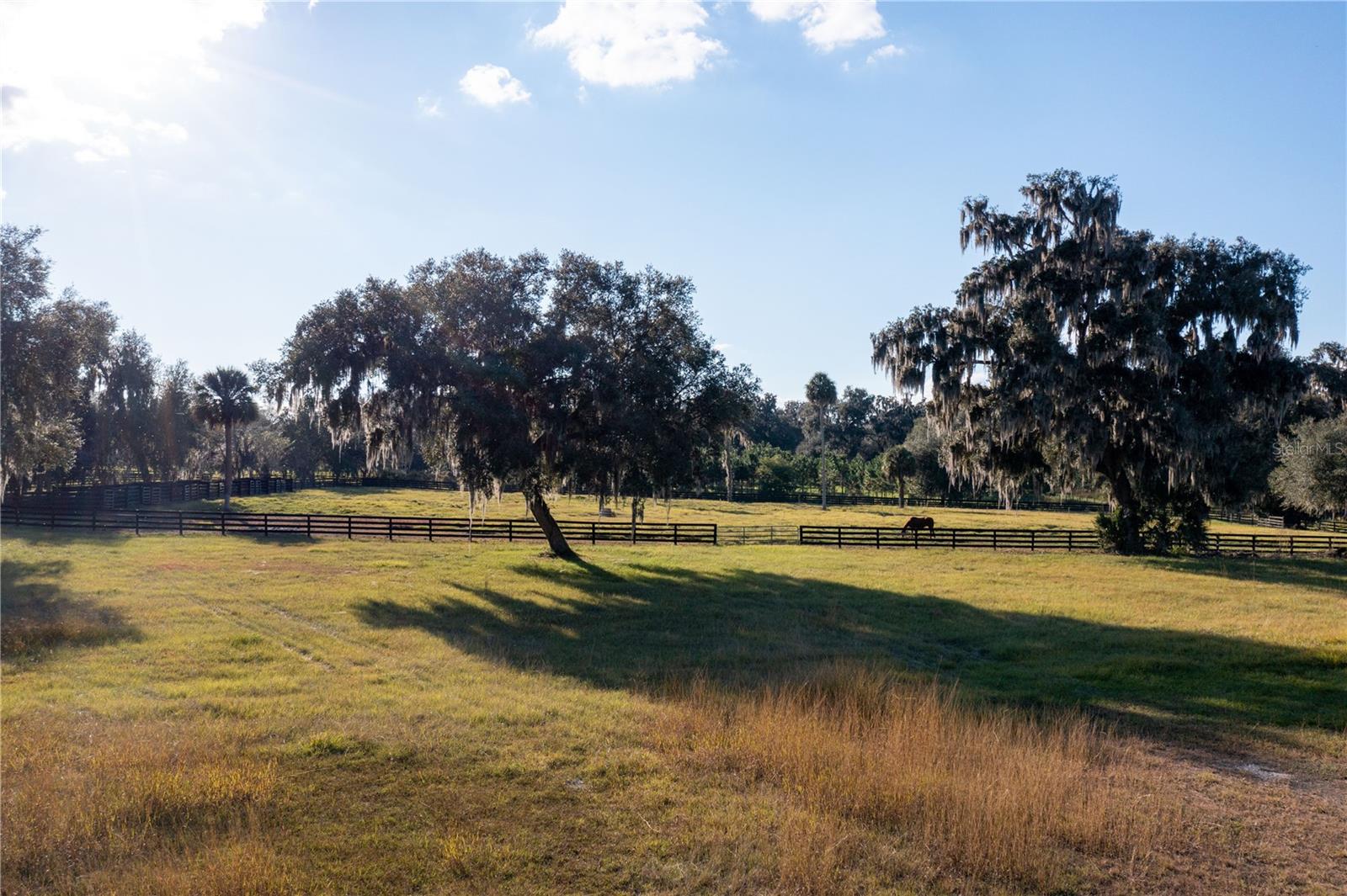 19350 NW 123RD CT, MICANOPY, FL — photo 100