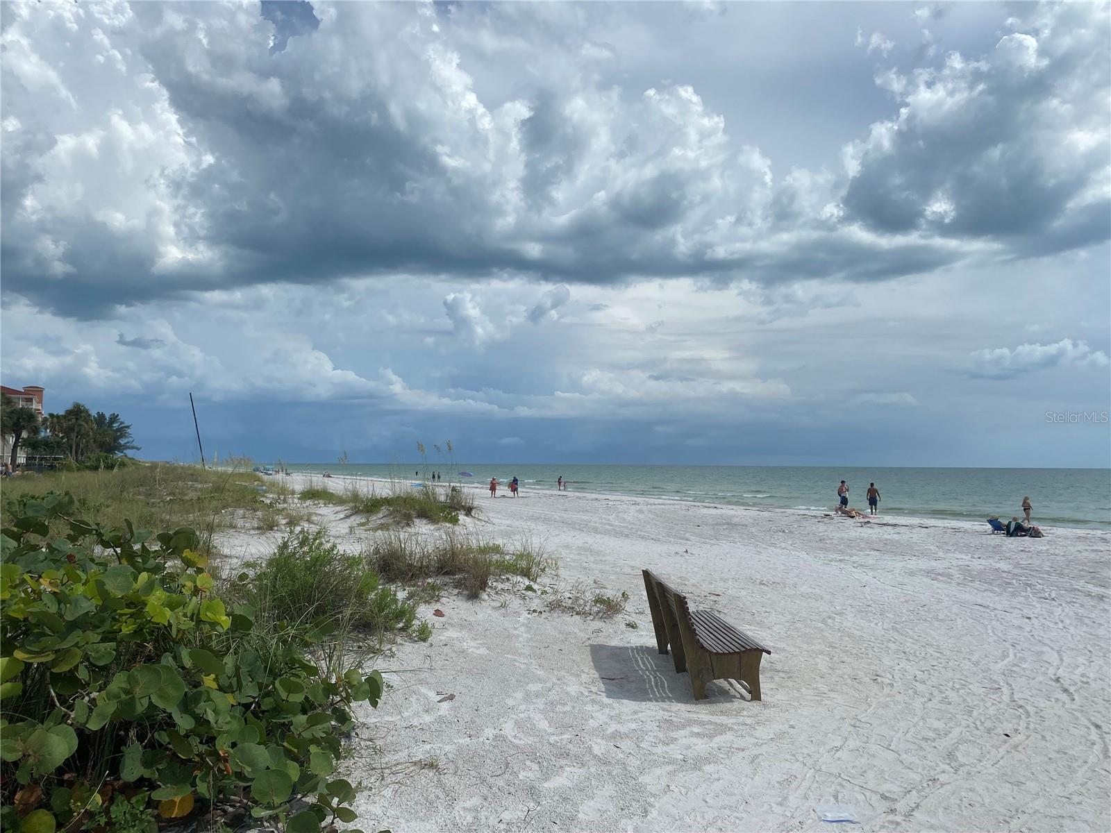 WHISPERING PINES DR, INDIAN SHORES, FL — photo 12