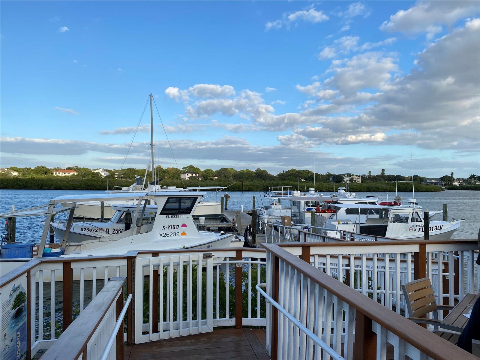 WHISPERING PINES DR, INDIAN SHORES, FL — photo 16