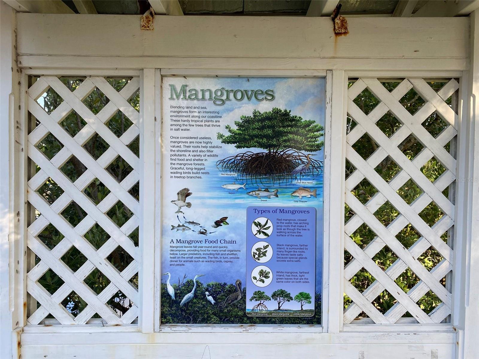 WHISPERING PINES DR, INDIAN SHORES, FL — photo 36