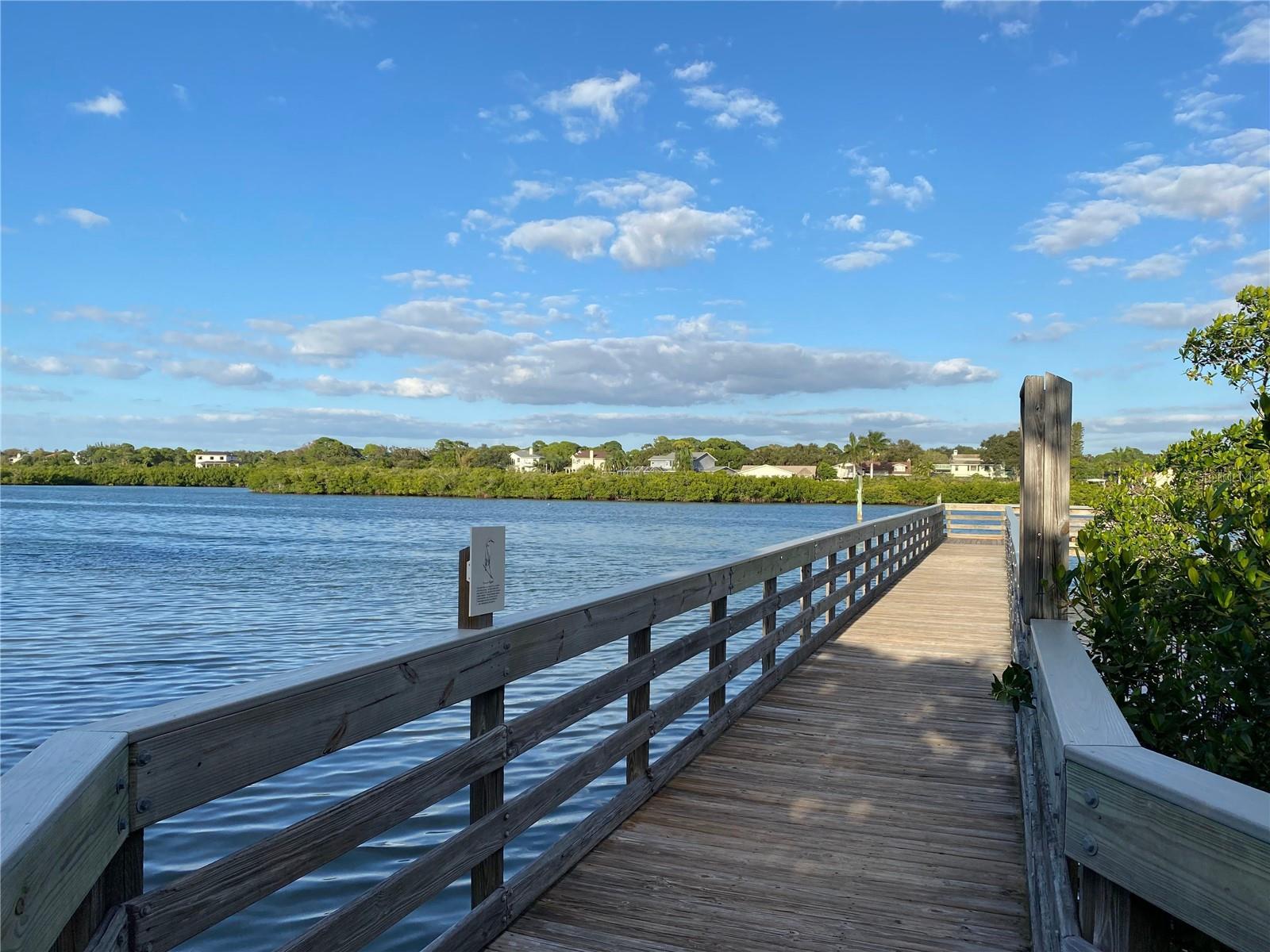 WHISPERING PINES DR, INDIAN SHORES, FL — photo 38