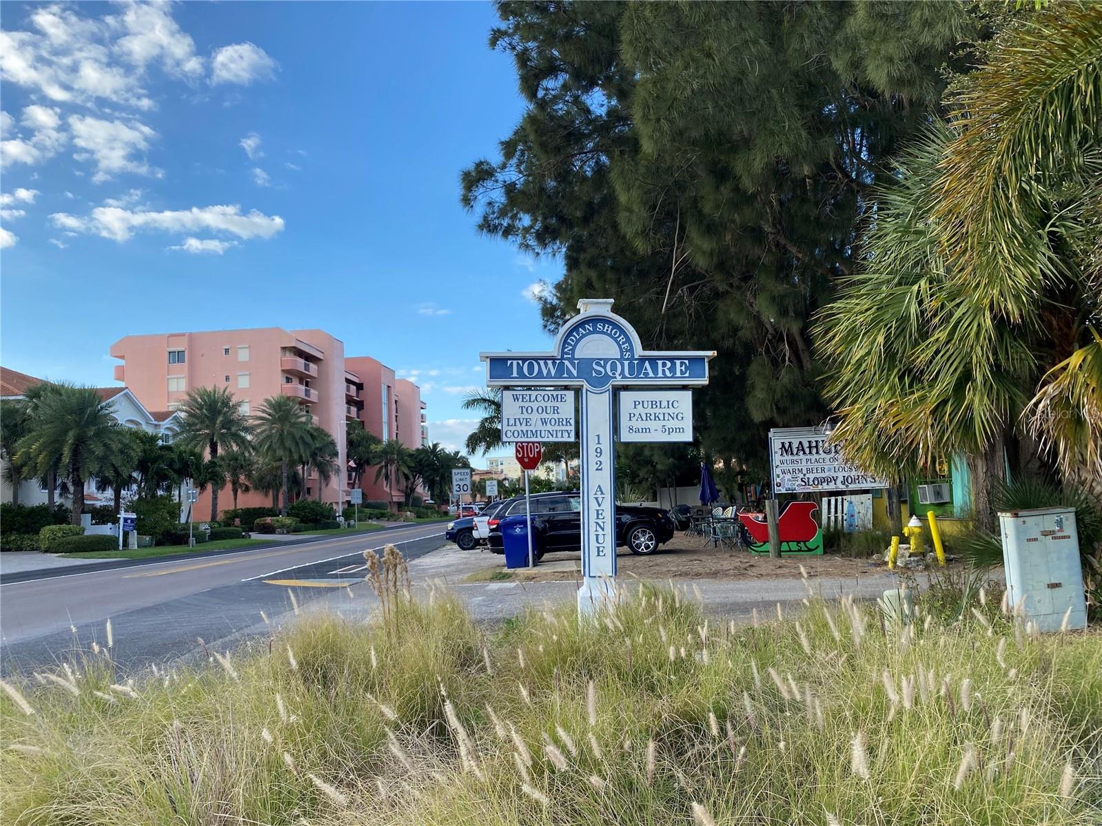 WHISPERING PINES DR, INDIAN SHORES, FL — photo 40