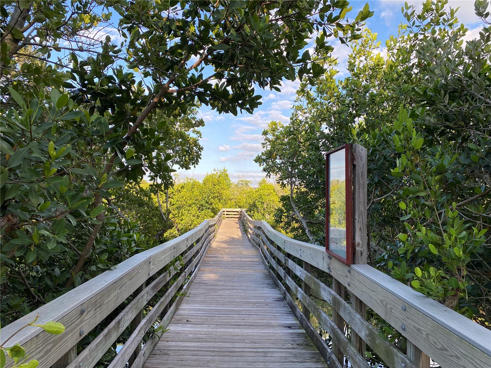 WHISPERING PINES DR, INDIAN SHORES, FL — photo 53