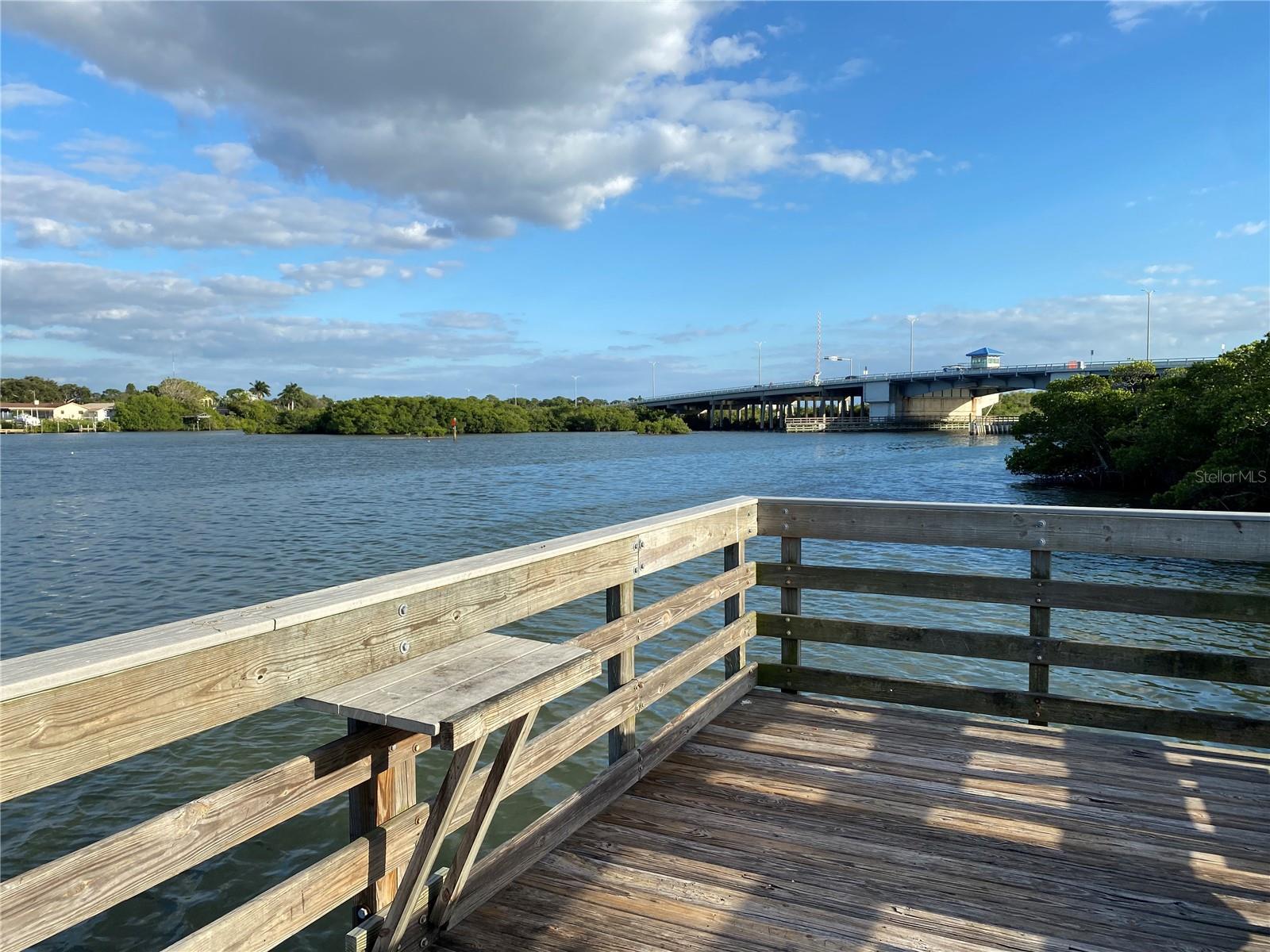 WHISPERING PINES DR, INDIAN SHORES, FL — photo 54