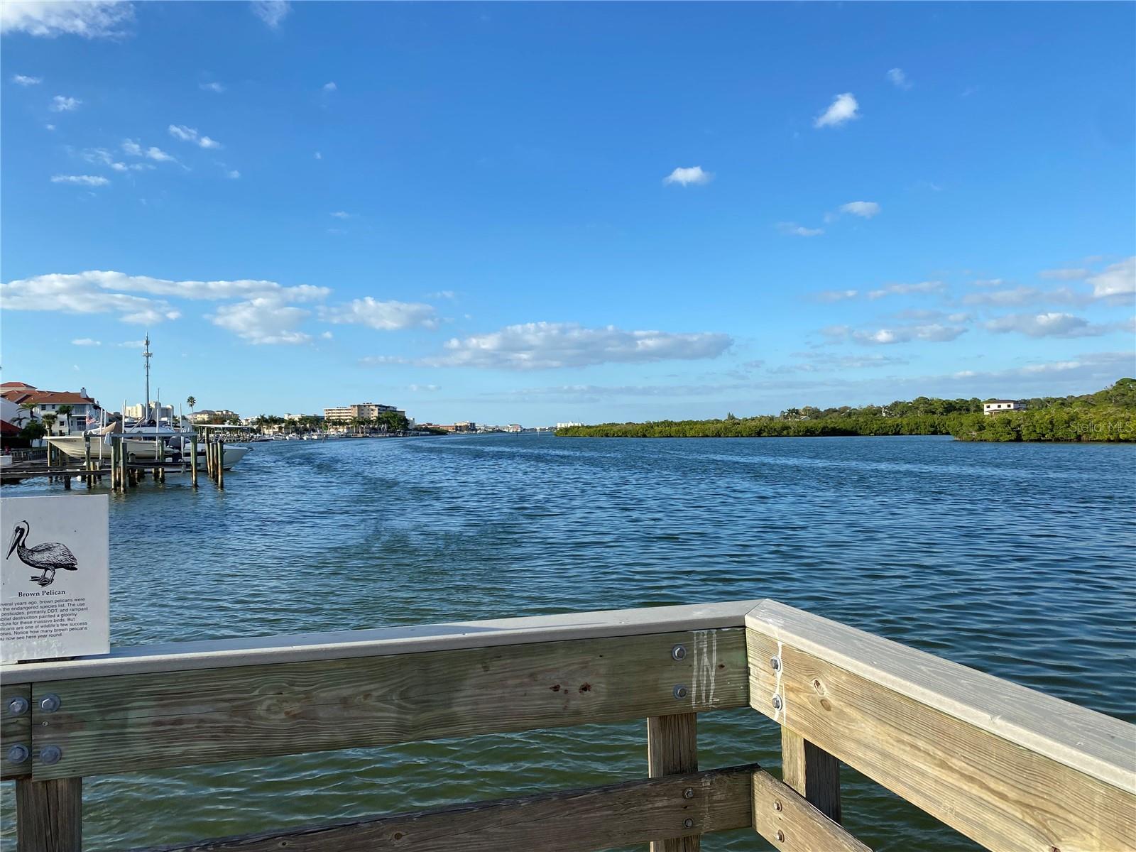 WHISPERING PINES DR, INDIAN SHORES, FL — photo 58
