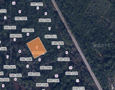 426 MADISON ST, SATSUMA, FL — photo 3