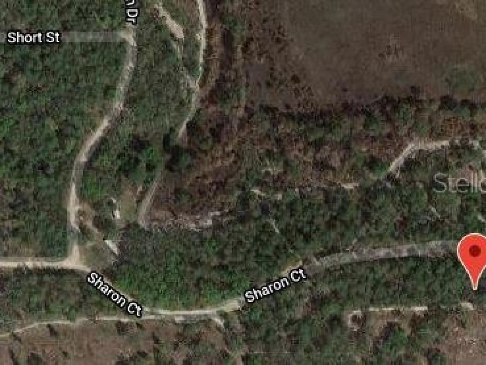153 SHARON DR, SATSUMA, FL — photo 2
