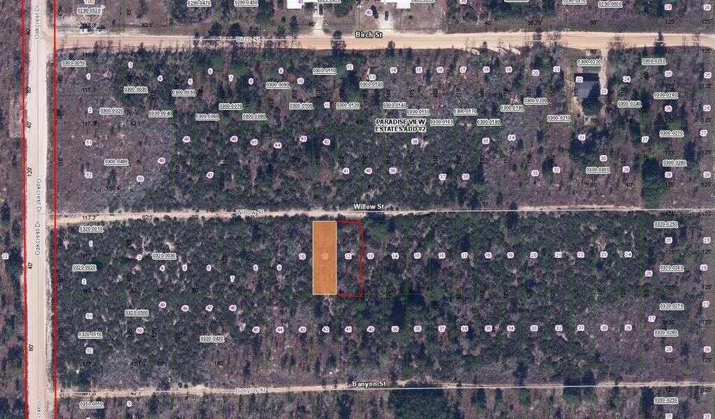 WILLOW ST ST, INTERLACHEN, FL — photo 3