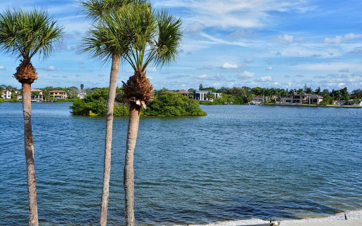 1250 N PORTOFINO DR #102MAR, SARASOTA, FL — photo 137