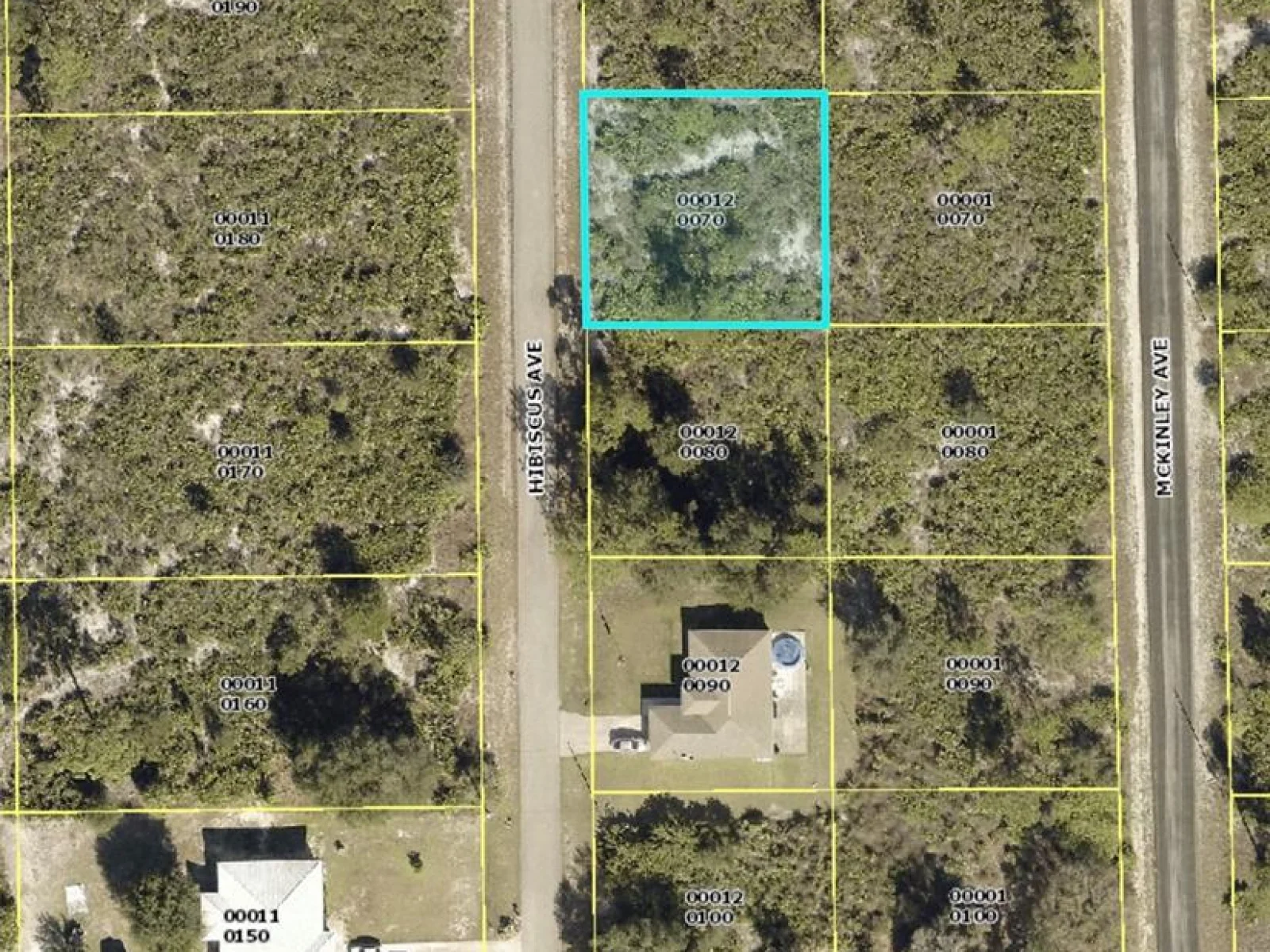 1610 HIBISCUS AVE, LEHIGH ACRES, FL — photo 1