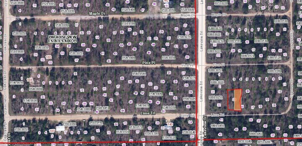 00 LIME ST, INTERLACHEN, FL — photo 3