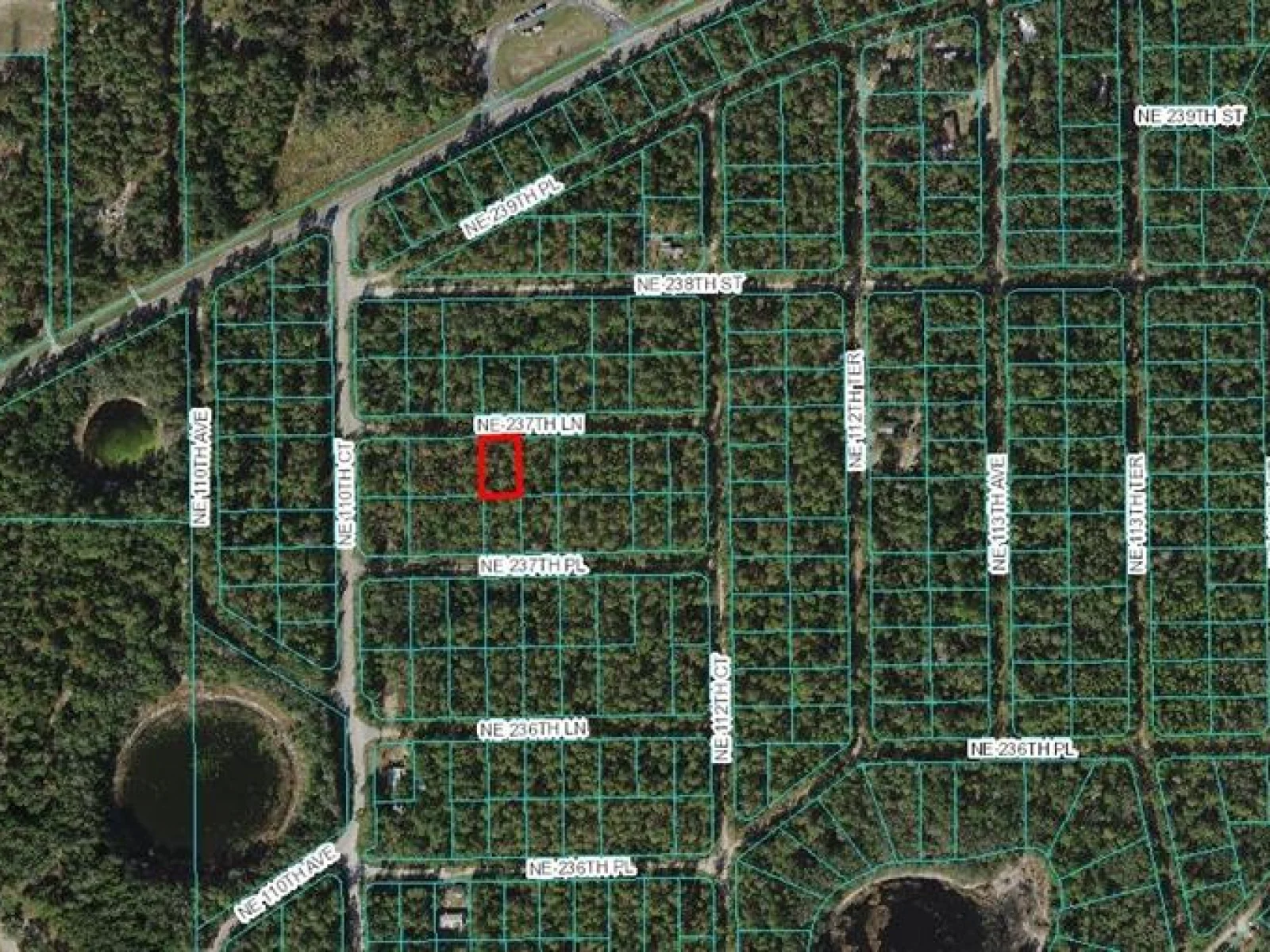 LOT 4 NE 237TH LN, FORT MC COY, FL — photo 2