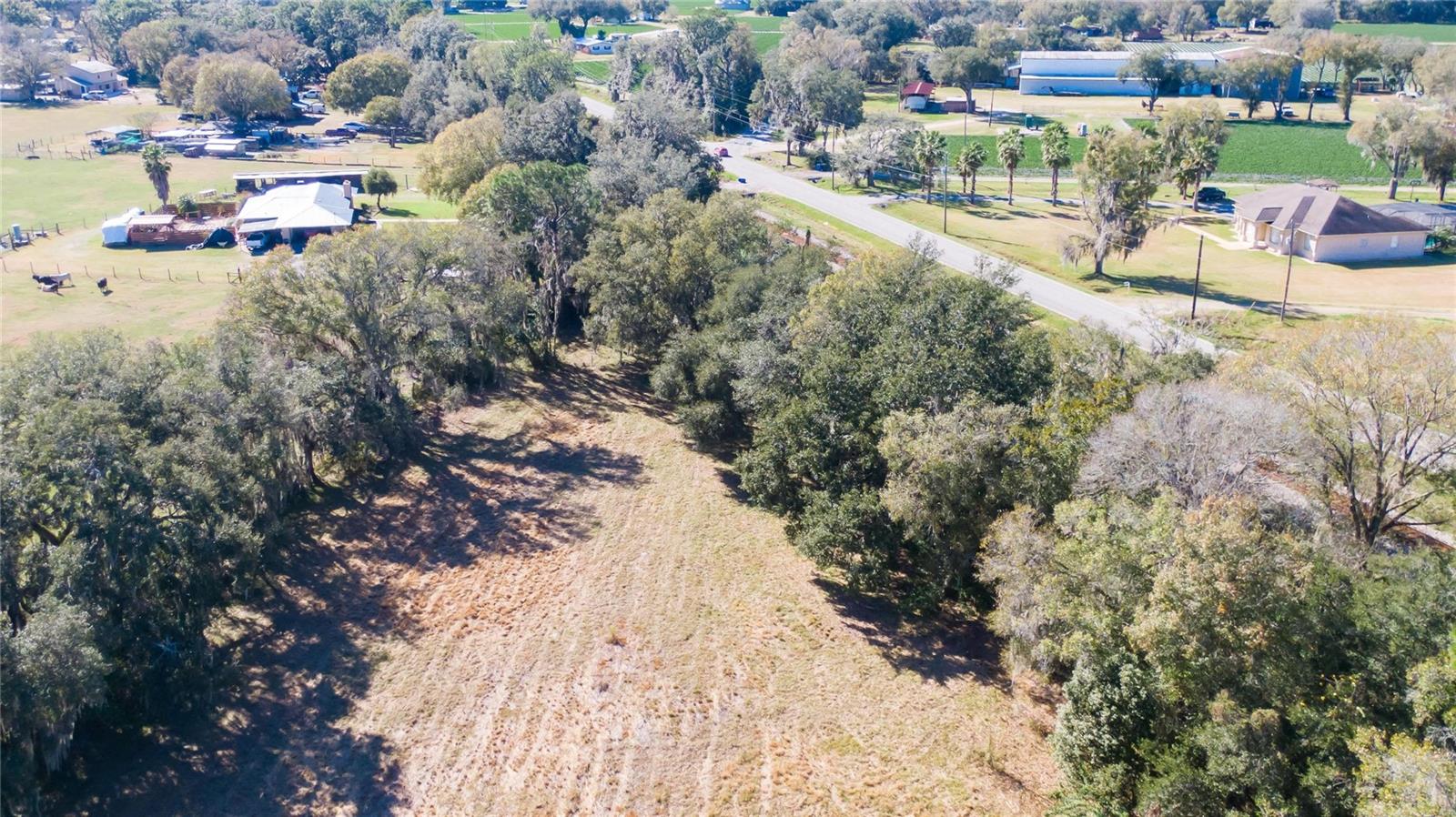 S. FORBES RD, DOVER, FL — photo 6