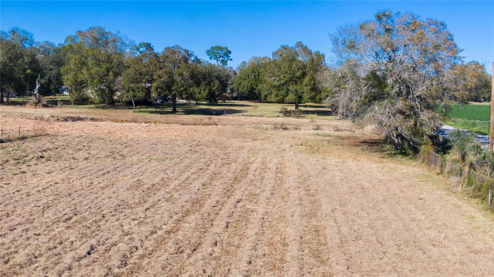 S. FORBES RD, DOVER, FL — photo 9