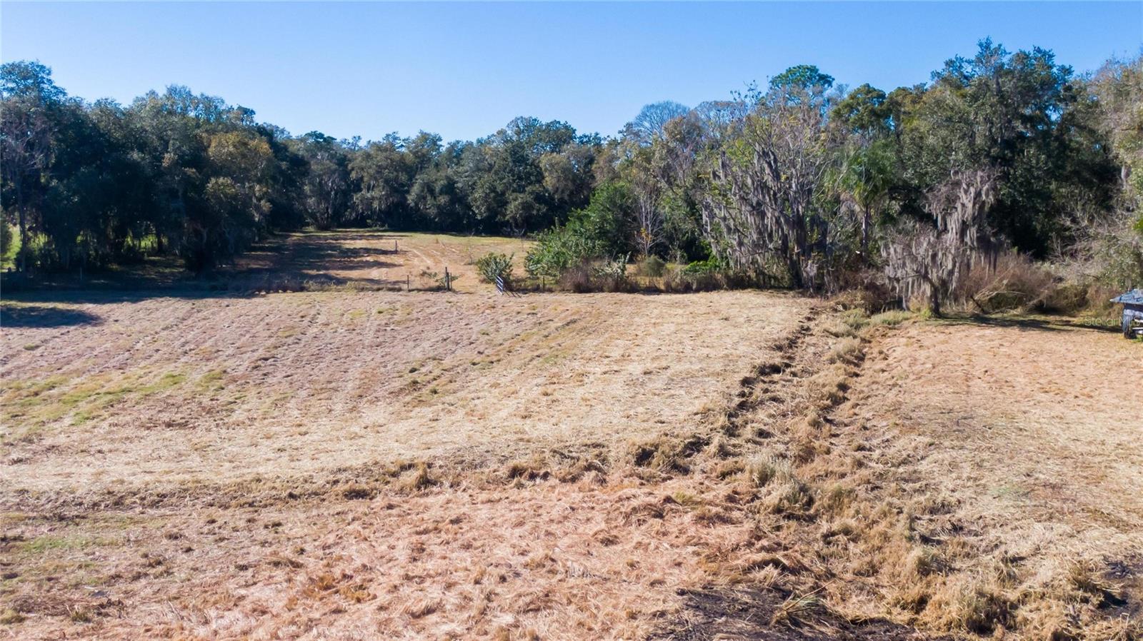 S. FORBES RD, DOVER, FL — photo 10