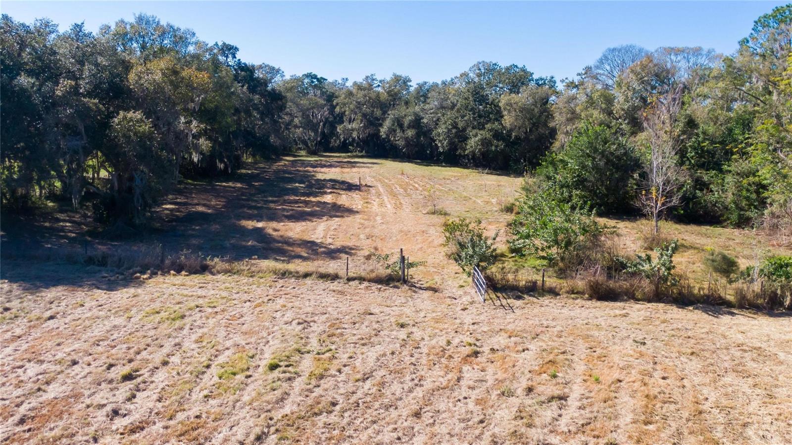 S. FORBES RD, DOVER, FL — photo 11
