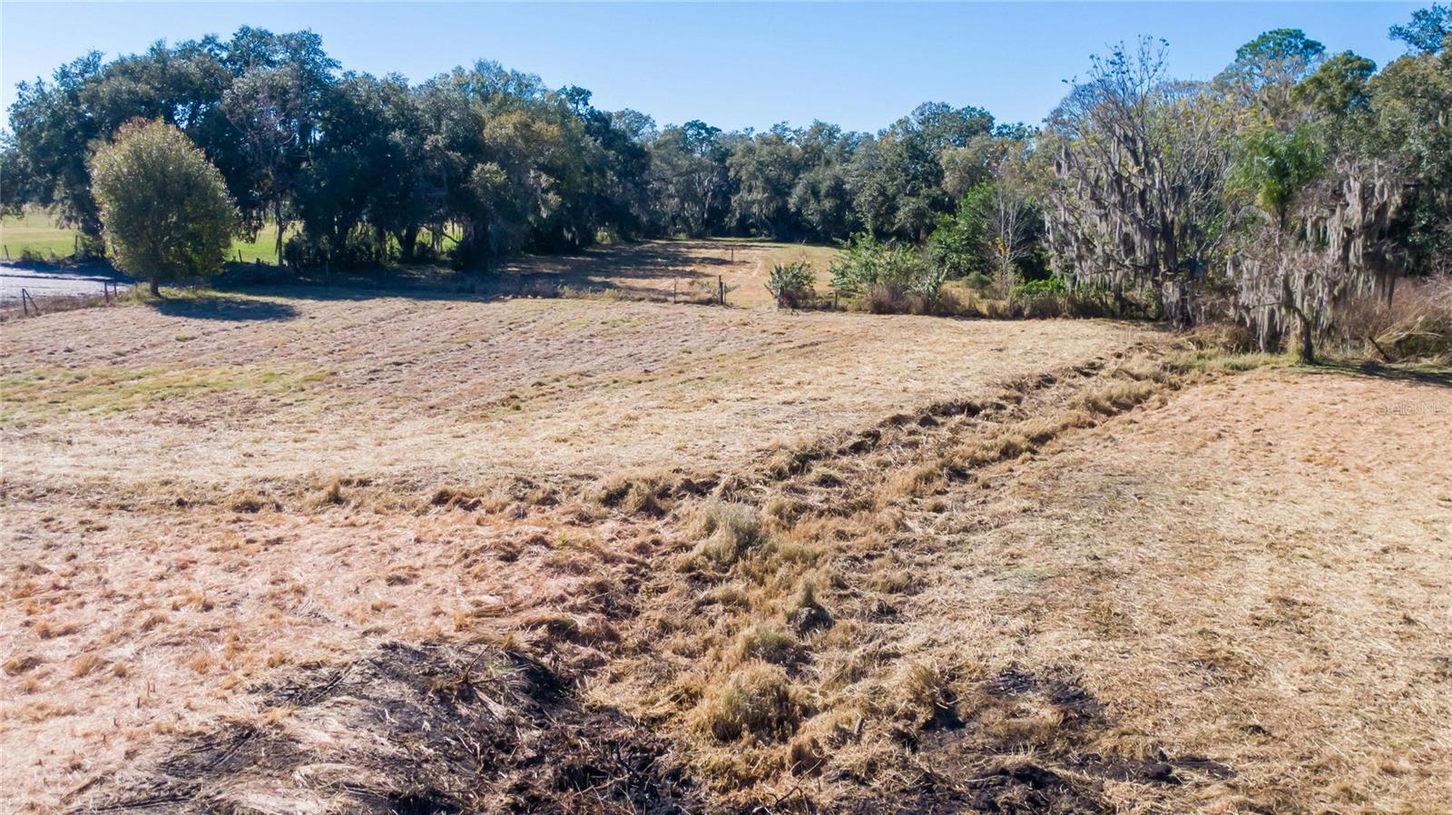 S. FORBES RD, DOVER, FL — photo 14