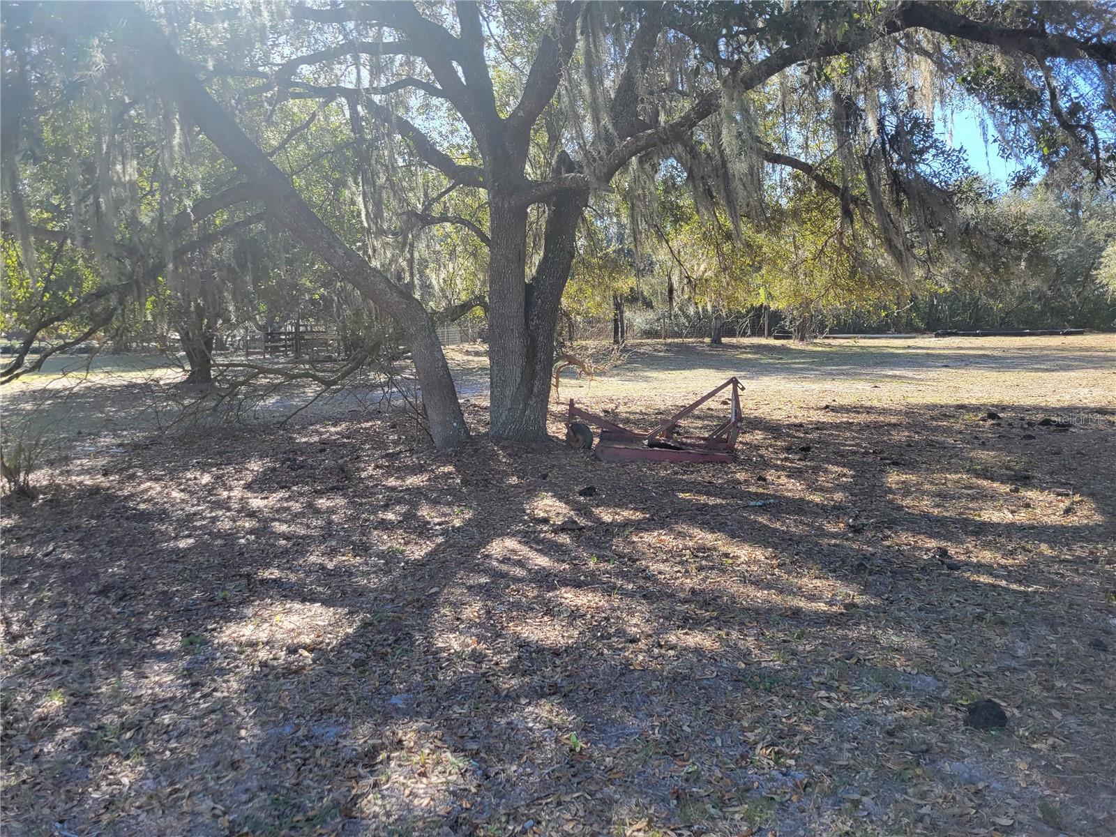 3142 PLYMOUTH SORRENTO RD, APOPKA, FL — photo 19
