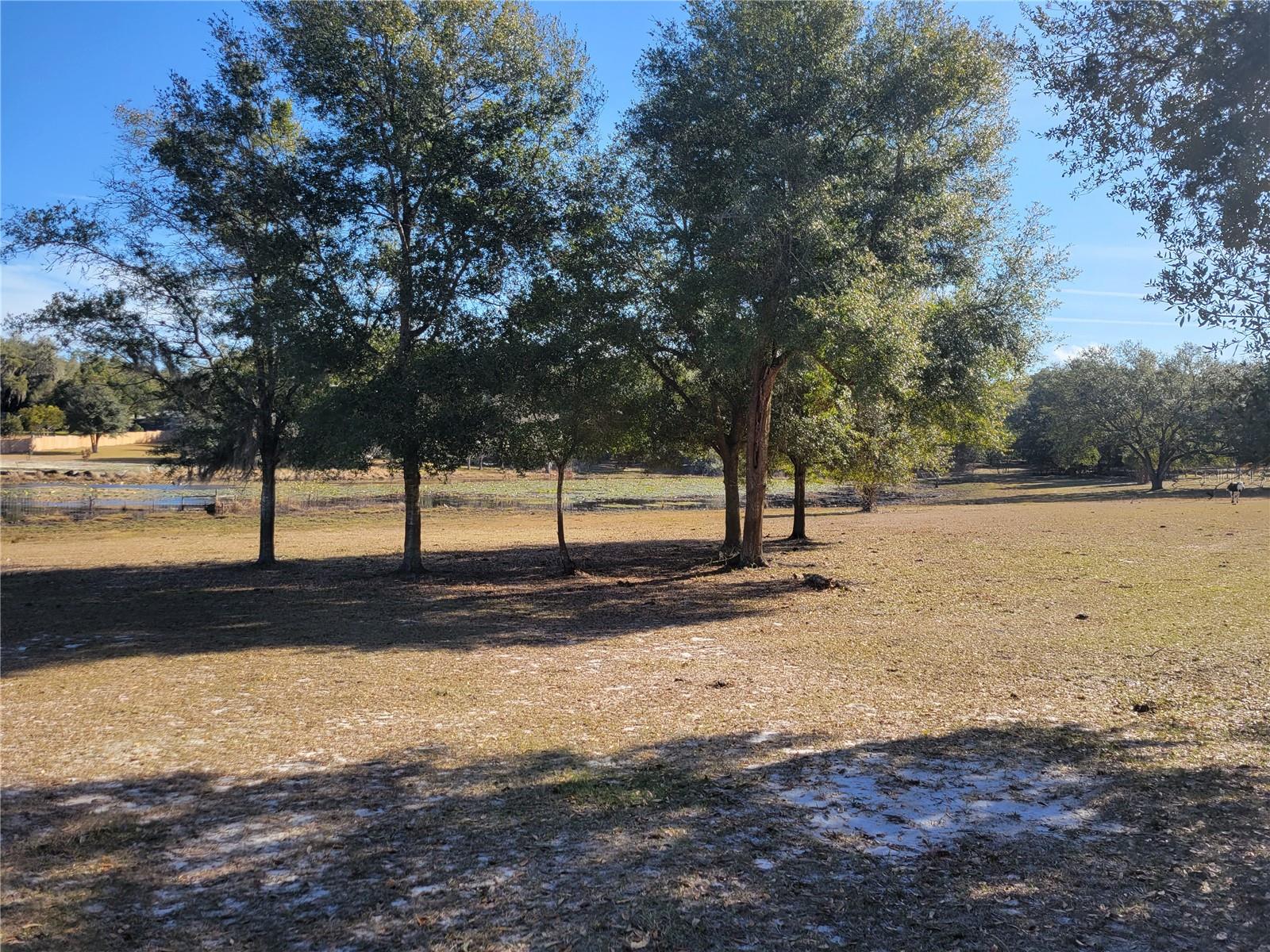 3142 PLYMOUTH SORRENTO RD, APOPKA, FL — photo 14