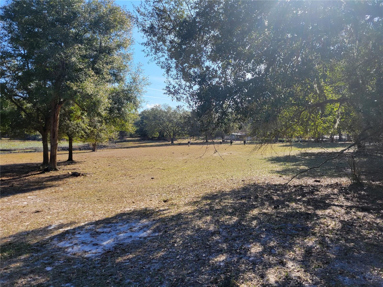 3142 PLYMOUTH SORRENTO RD, APOPKA, FL — photo 15