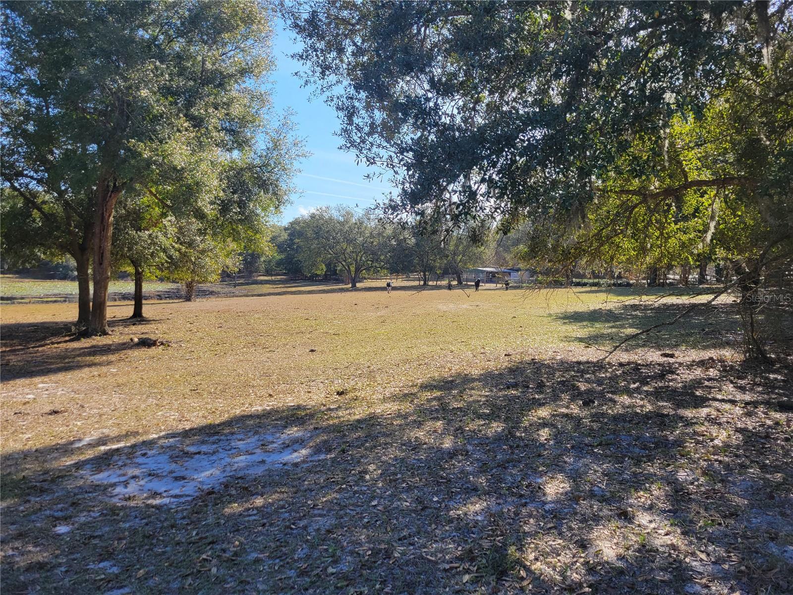 3142 PLYMOUTH SORRENTO RD, APOPKA, FL — photo 17