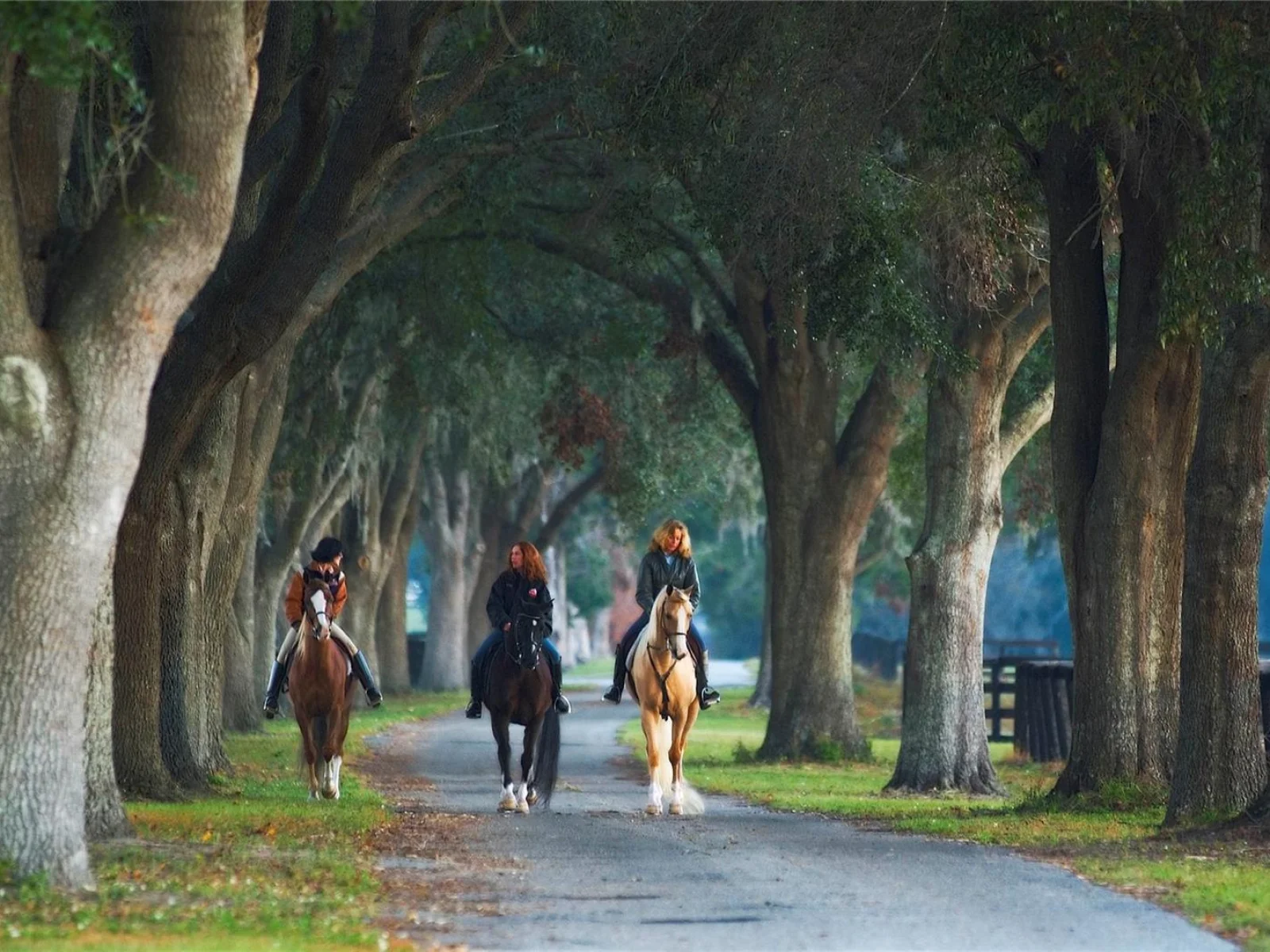0 SE 8TH AVE #Lot 5, OCALA, FL — photo 4