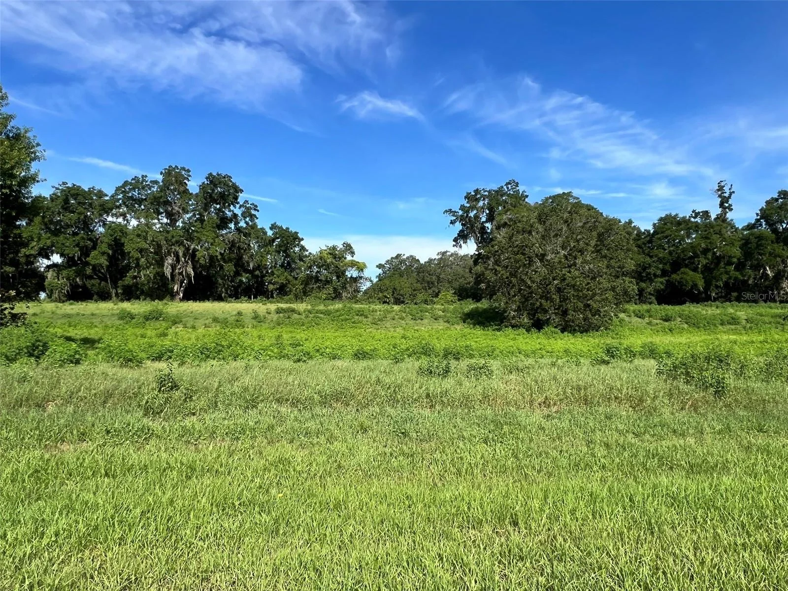 0 SE 8TH AVE #Lot 5, OCALA, FL — photo 5