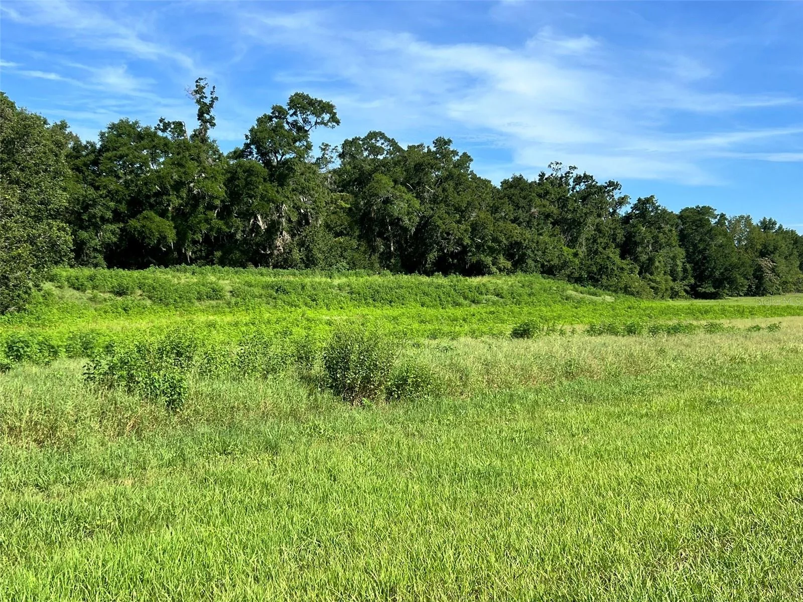 0 SE 8TH AVE #Lot 5, OCALA, FL — photo 6