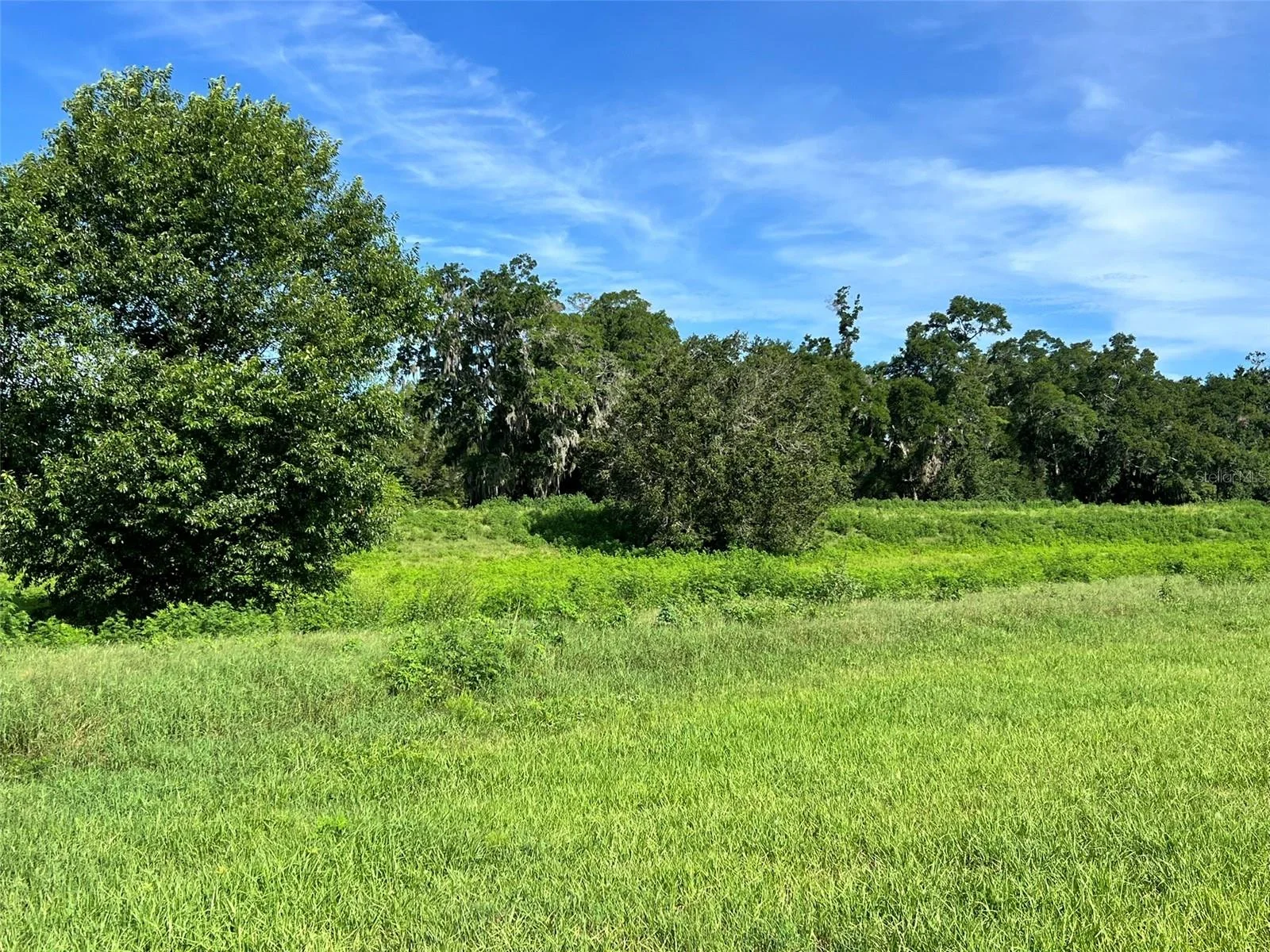 0 SE 8TH AVE #Lot 5, OCALA, FL — photo 7