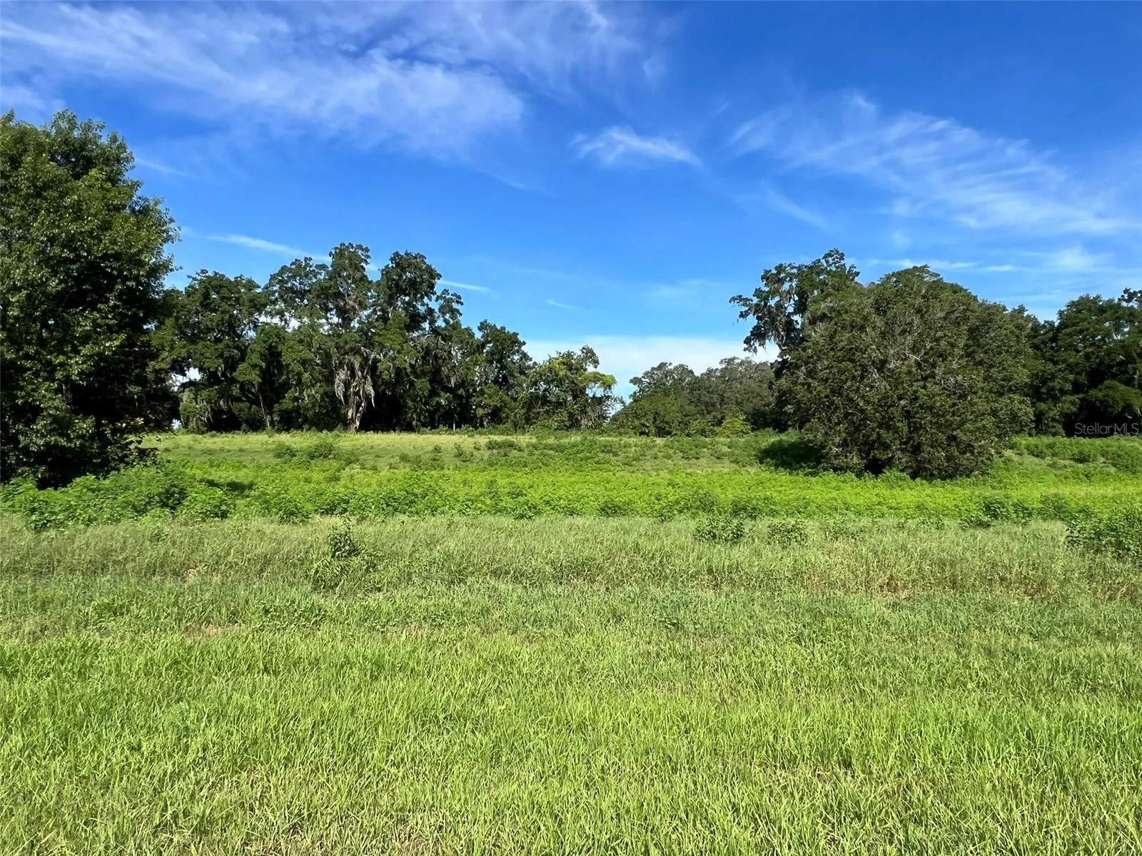 0 SE 8TH AVE #Lot 5, OCALA, FL — photo 1
