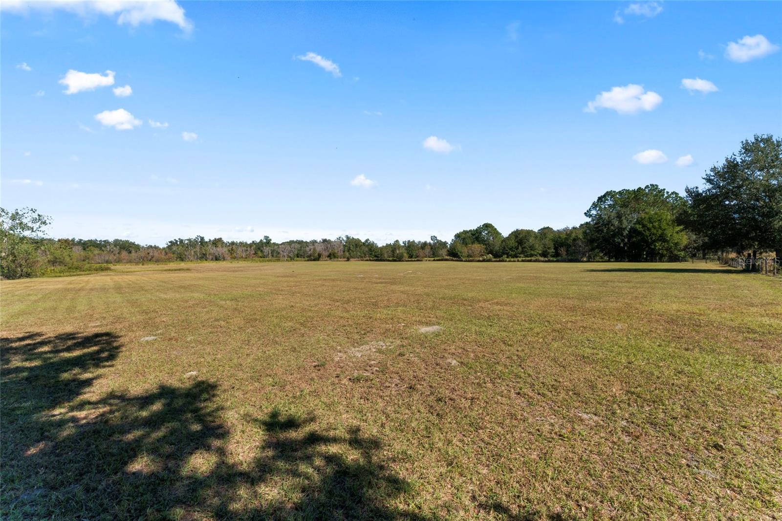 0 COUNTY ROAD 52, SAN ANTONIO, FL — photo 5